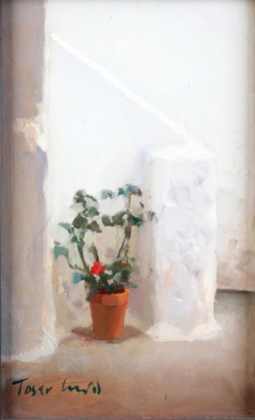 patio-andaluz