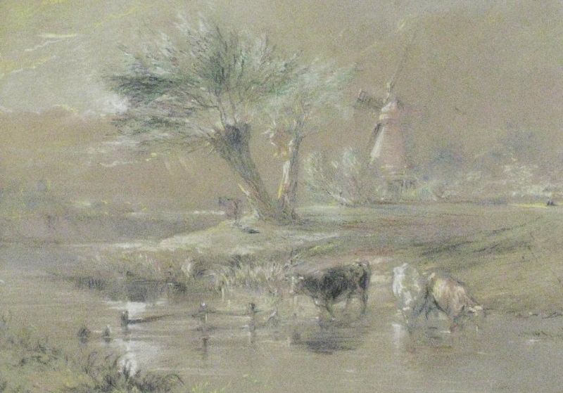 cattle-watering-near-a-windmill