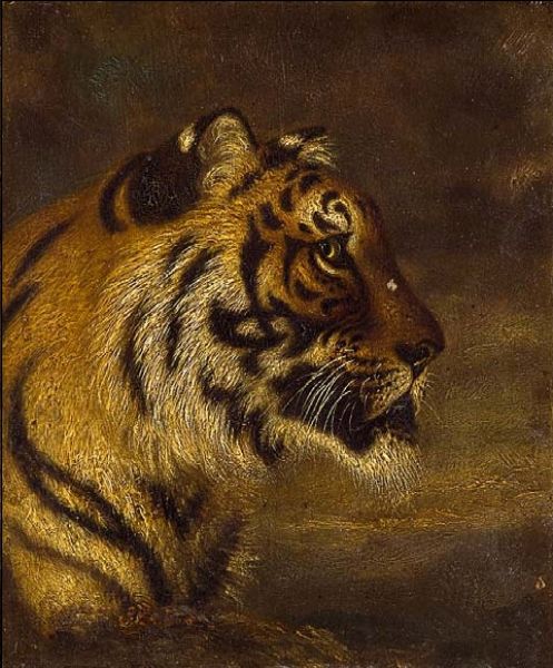 tigerkopf