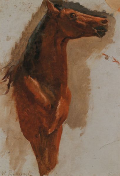 front-of-a-horse-in-profile