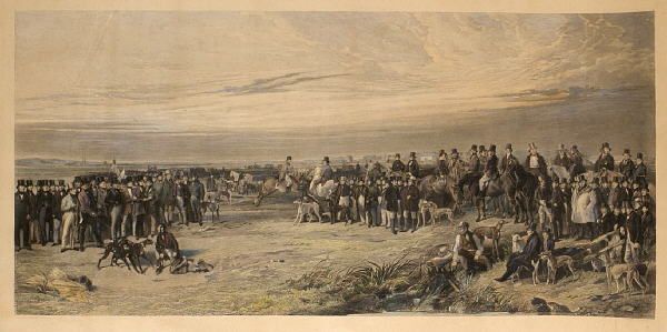 the-waterloo-coursing-meeting