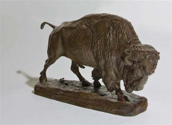 american-bison