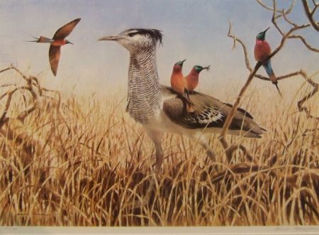 great-bustards-and-other-birds