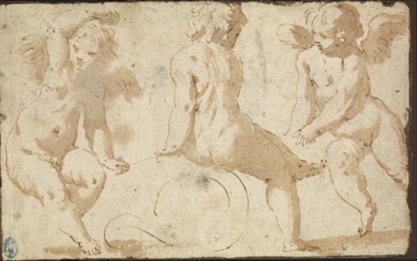 etude-de-putti