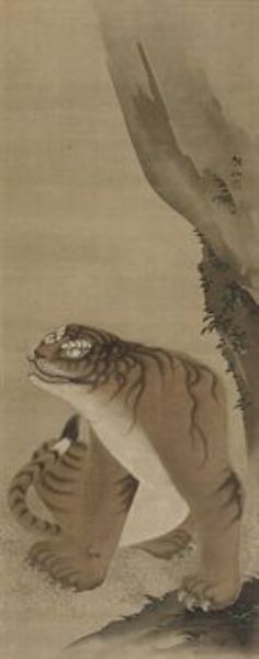 tiger