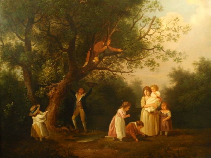 children-bird-nesting-one-boy-up-a-tree-in-a-woodland-setting