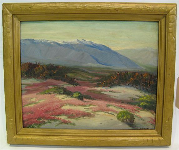 california-desert-landscape-in-full-bloom