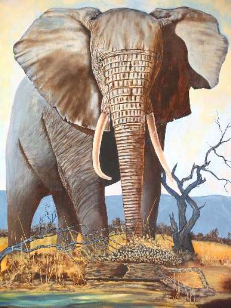 bull-elephant