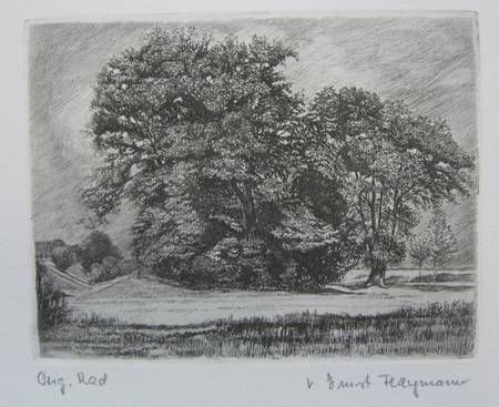 landschaft-mit-kleinem-waldstuck
