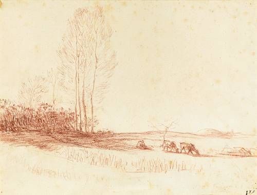 cattle-in-a-landscape