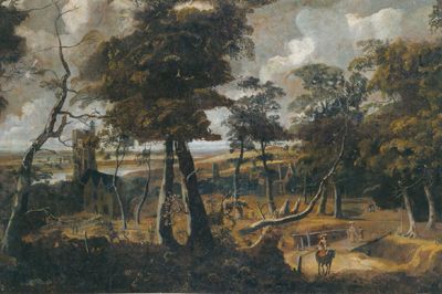wooded-landscape-with-view-of-a-river