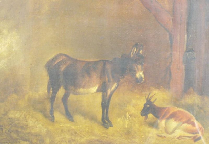 a-stable-interior-with-a-grey-pony-and-dog-and-stable-companions
