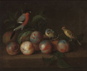 a-bullfinch-and-other-birds-with-peaches