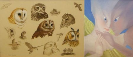 vignette-studies-of-owls