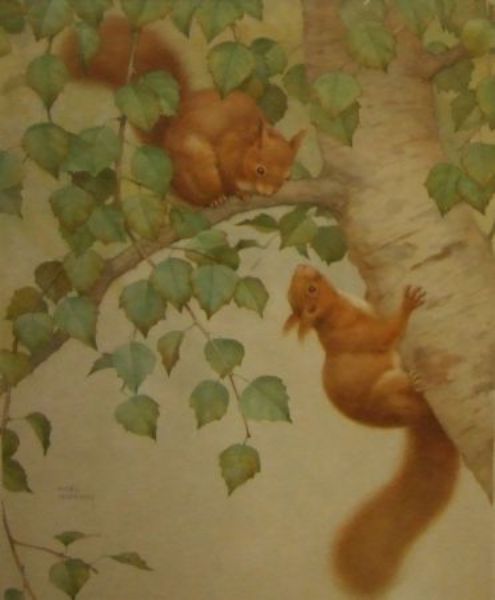 red-squirrels