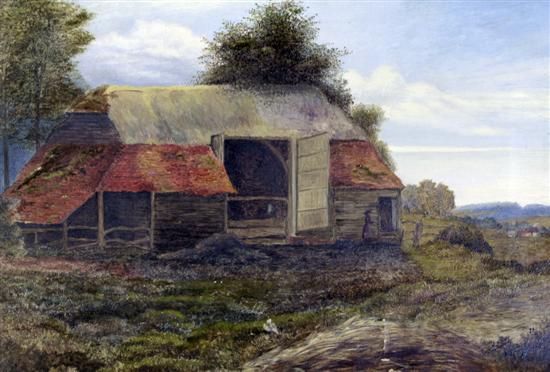 little-shams-farm