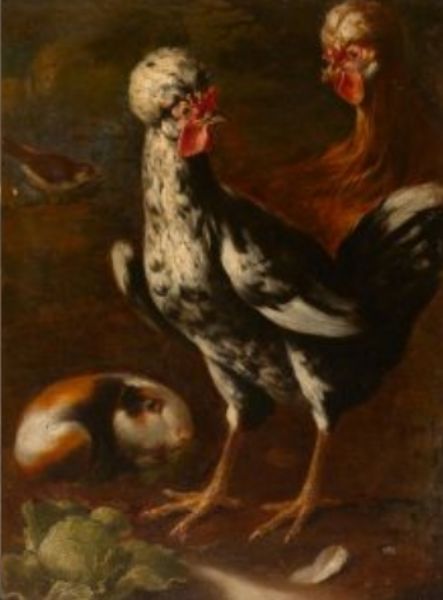 chickens-and-guinea-pig
