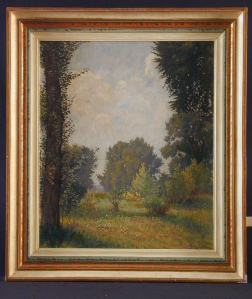 auenlandschaft