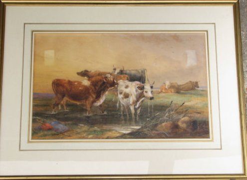 cattle-in-watering-hole