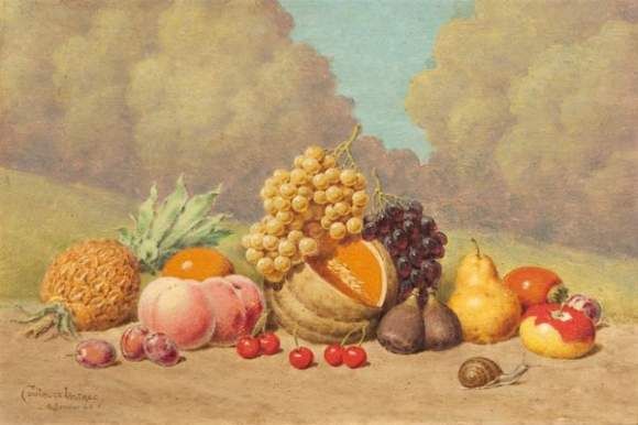 nature-morte