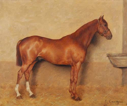 pferd-1897