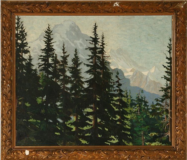 scenery-with-pines