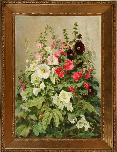 white-rose-and-dark-red-hollyhocks