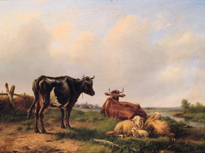 cows-in-the-meadow