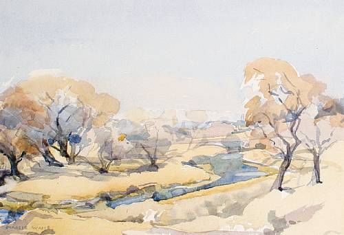landscape-study-johannesburg