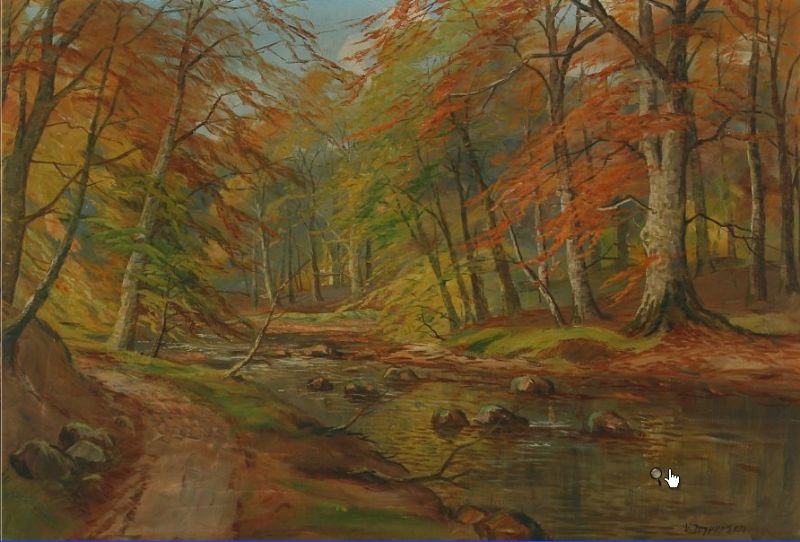 forest-scenery