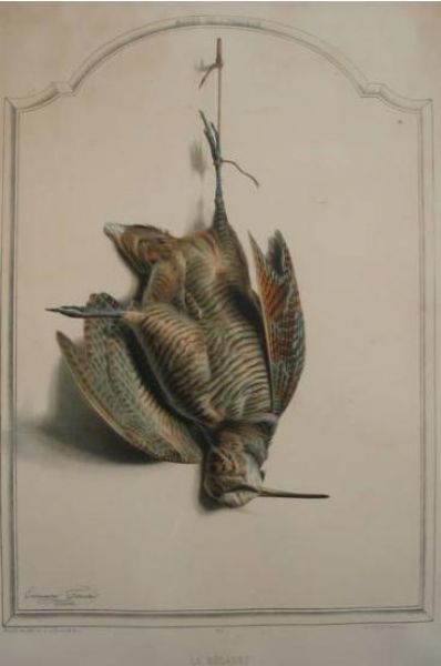 la-becasse