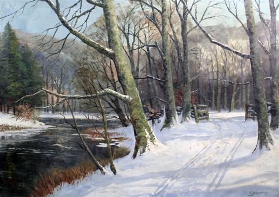 woodland-in-winter