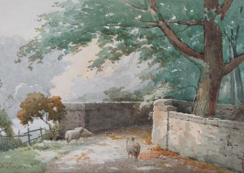 sheep-on-a-country-lane