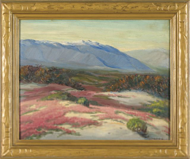 california-desert-landscape-in-full-bloom