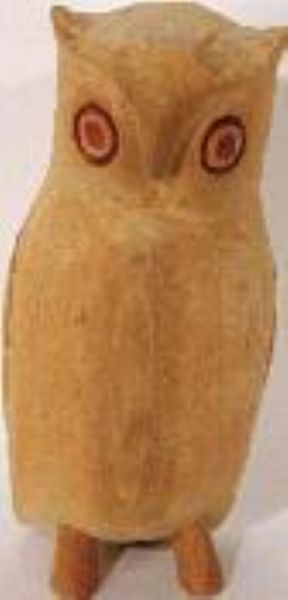 small-owl