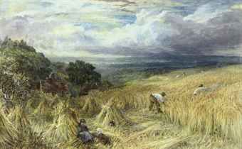 harvest-day