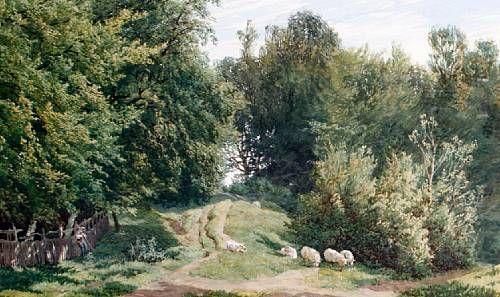 wooded-landscape