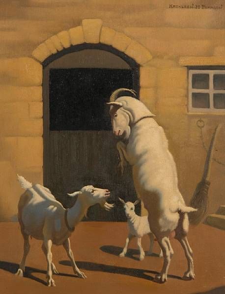 goats-in-a-yard