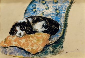 a-spaniel-sleeping