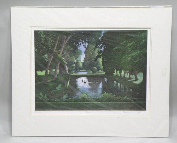 swans-depicting-two-birds-in-a-landscaped-glade