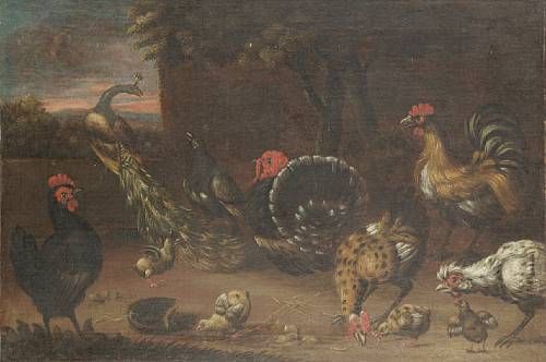 a-peacock-roosters-and-various-fowl-in-a-barnyard