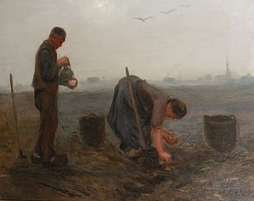 the-potato-harvesters