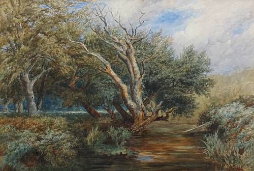silent-pool-border-of-the-new-forest
