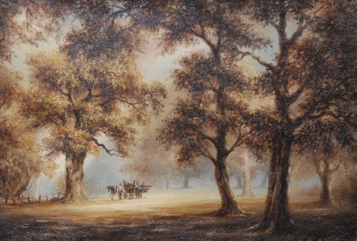sunlight-in-sherwood