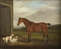 study-of-a-horse-with-king-charles-spaniels