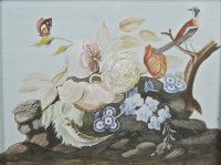 roses-anenomes-wild-bird-and-insect