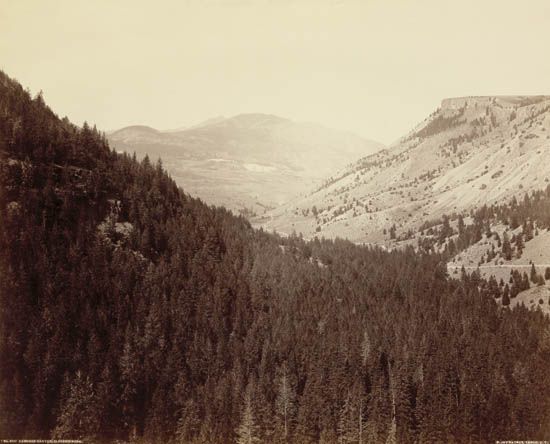 gardner-canyon-electric-peak