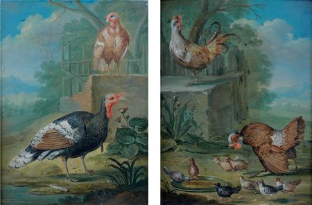 poule-et-coq-avec-leurs-poussins