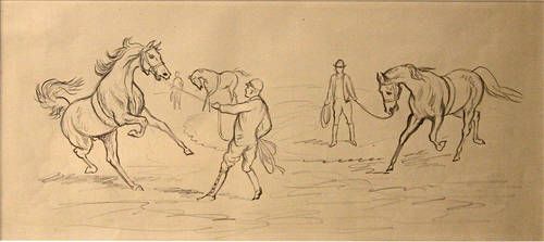 training-horses
