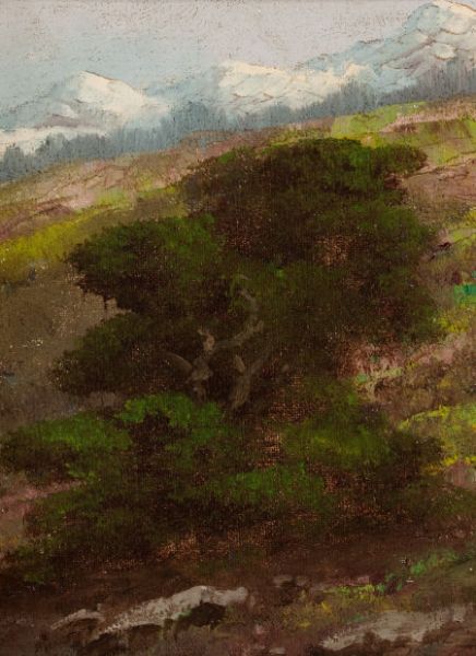 mountain-landscape